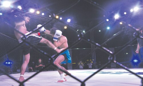 A festival of kickboxing and MMA shows Pakistan&rsquo;s growing interest in the sport