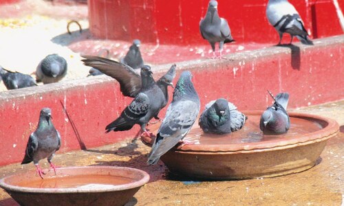 Mercury climbs to 41.2°C in Karachi Mercury climbs to 41.2°C in Karachi