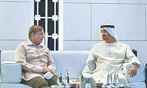 PM Shehbaz, Abu Dhabi crown prince discuss prospects of propelling cooperation