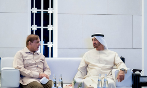UAE&rsquo;s economic team to arrive in Pakistan for &lsquo;implementation of decisions&rsquo; during PM&rsquo;s visit