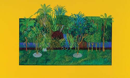 EXHIBITION: VERDANT CONTEMPLATIONS