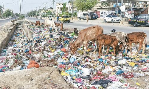 Solution to Karachi district Central&rsquo;s garbage crisis nowhere in sight