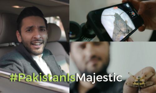 For Muzamil Hasan, #PakistanIsMajestic because of the unique interests and passion of its people