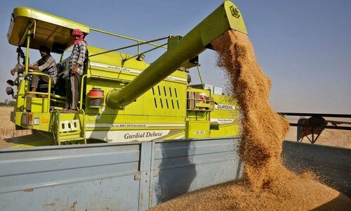 Heatwave-hit India rattles G7 with wheat export ban