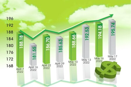 SITUATIONER: Dollar-driven ‘domino effect’ won’t spare anyone