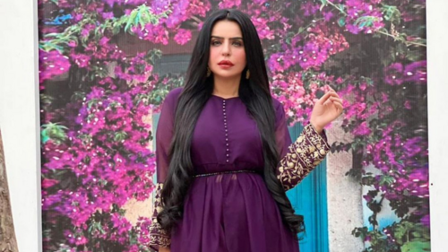 ناقدین 'حقیقت' سے واقف نہیں، مارگلہ میں 'آگ لگا کر' ویڈیو بنانے والی ٹک ٹاکر کی وضاحت