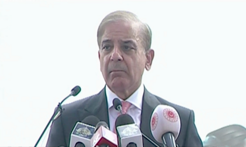 PM Shehbaz proposes turning CPEC into 'trilateral arrangement'