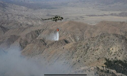 Iranian firefighting aircraft to join operation as Balochistan forest inferno rages on