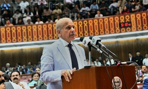 Pakistan to raise Yasin’s conviction with world bodies: Shehbaz Pakistan to raise Yasin’s conviction with world bodies: Shehbaz