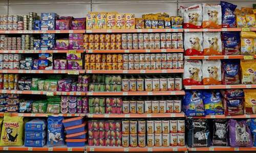 Looming ban on food import makes finicky pets&rsquo; owners panicky in Karachi