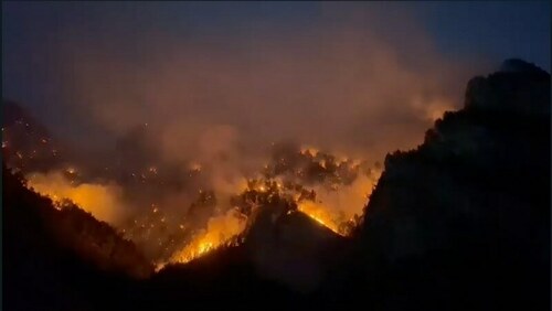 The Balochistan forest fire engulfed millions of trees and the hopes of generations to come