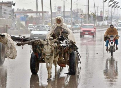 CAA employee seeks permission to bring donkey cart to work over soaring fuel prices