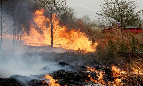 Multiple fires erupt on Margalla Hills