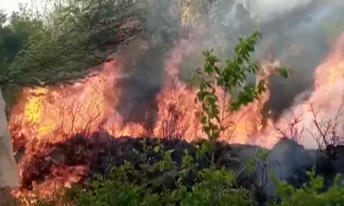 Fire rages in Haripur&rsquo;s Makhniyal forests