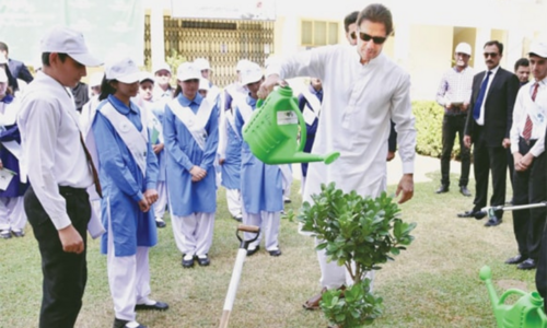 Over 1bn trees planted under PTI govt Over 1bn trees planted under PTI govt