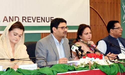 Economic team evasive about giving special perks to civil, judicial and military bureaucracy