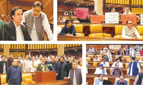 Punjab rulers to hold &lsquo;own session&rsquo; to present budget