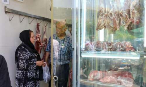 Inflation, subsidy reform hit stomachs in isolated Iran