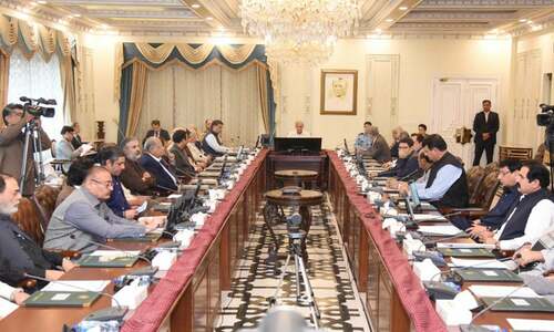 Cabinet bets on Sukuk bonds for economic stability