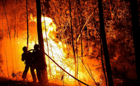 900 firefighters battle ‘mega-fire’ in southern France 900 firefighters battle ‘mega-fire’ in southern France
