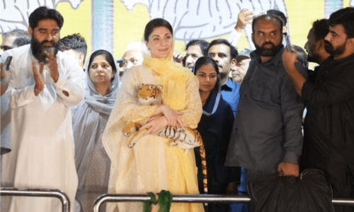 Maryam Nawaz tests positive for Covid-19 again after back-to-back election rallies