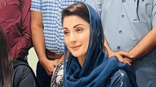 The PML-N bagged just 4 seats in the Punjab by-election, but all of Twitter&rsquo;s memes are dedicated to Maryam Nawaz