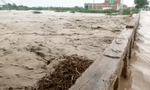 19 more perish, hundreds stranded in rain-hit Balochistan and KP