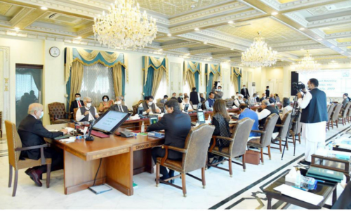 Impact of fuel price cut must reach masses: cabinet