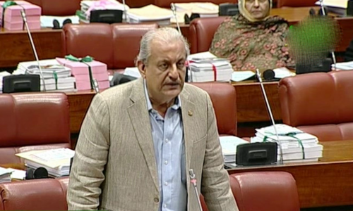 Raza Rabbani opposes idea of trying PTI leadership under Article 6