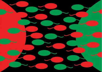 SMOKERS&rsquo; CORNER: LEAVING THE LEFT BEHIND