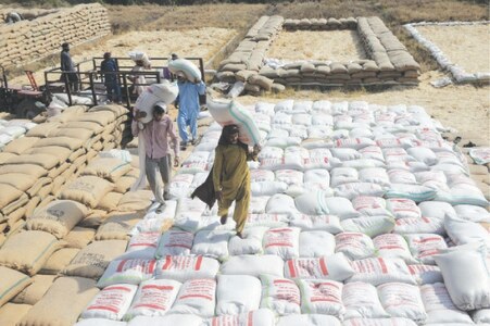 Punjab's wheat worries