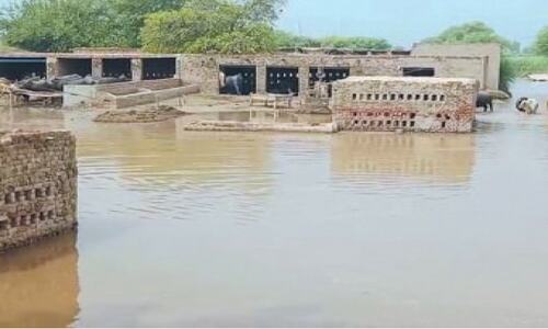 Houses and farmland flooded by Ravi Houses and farmland flooded by Ravi