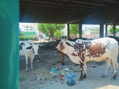 CLIMATE CHANGE: KARACHI&rsquo;S CLIMATE CHANGE DENIAL