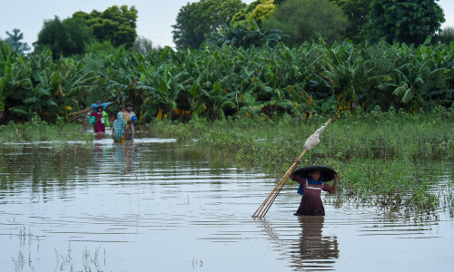 Monsoon devastation hits crops, may affect economic outlook Monsoon devastation hits crops, may affect economic outlook