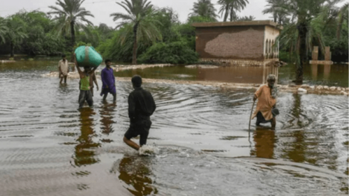 From Pie in the Sky to Esfir Jewels: Here are some brands who are donating their proceeds to flood relief efforts From Pie in the Sky to Esfir Jewels: Here are some brands who are donating their proceeds to flood relief efforts