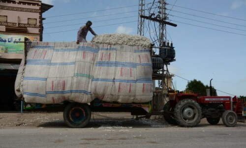 Floods after drought devastate Sindh&rsquo;s agriculture