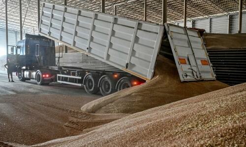 First Ukraine grain ship to set sail, more to follow, says Turkey