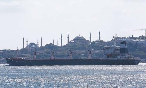 First grain shipment from Ukraine sails through Istanbul First grain shipment from Ukraine sails through Istanbul