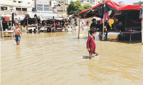 Villagers attack crocodiles, kill one in Shikarpur