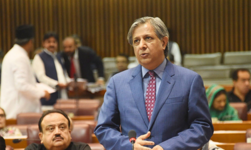 Call to guard parliament against &lsquo;institutional overreach&rsquo;