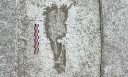 Ice-age footprints shed light on North America&rsquo;s early humans