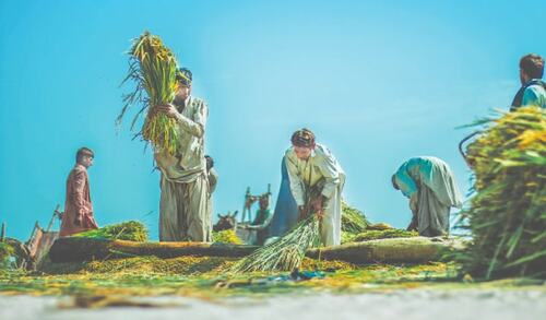 Agri&rsquo;s 75 years of success and stagnation