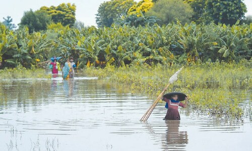 SBP sets higher Rs1.8tr agri credit target to help flood-hit farmers