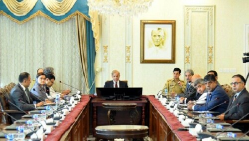 PM Shehbaz green-lights 10,000MW solar project to cut imported fuel use