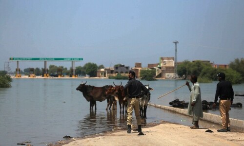 Authorities scramble to plug Main Nara Valley Drain breach as death toll rises to 12