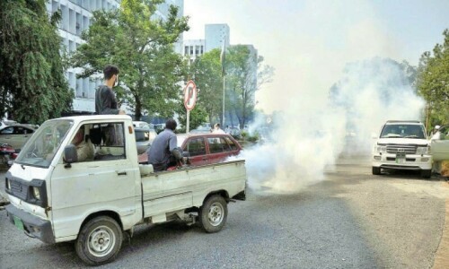 Dengue fever cases in Karachi double in just two days