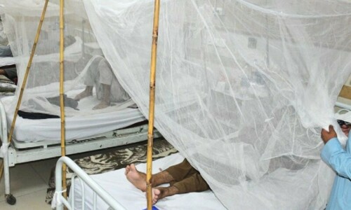 Half sleeves, outdoor activities curtailed for a month as Sindh issues dengue SOPs for Karachi schools