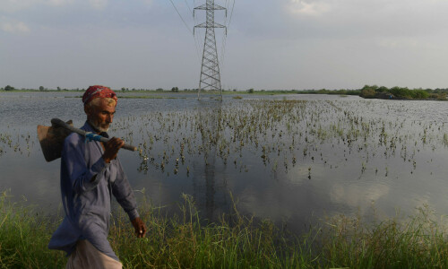 World Bank to provide $22.2m in aid to Pakistan’s flood-hit farmers: ministry World Bank to provide $22.2m in aid to Pakistan’s flood-hit farmers: ministry