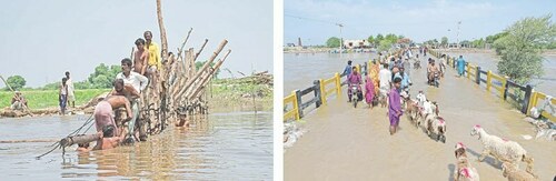 Disaster revives old debate over LBOD design defect Disaster revives old debate over LBOD design defect