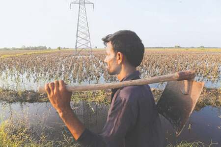 Fearing for the Rabi season